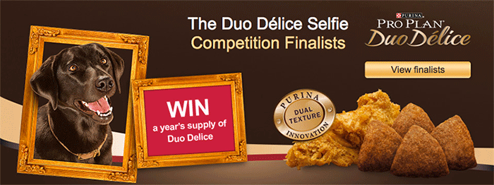 Client spotlight nestle pro plan duo delice competition finalists