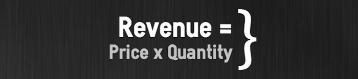 Business metrics revenue